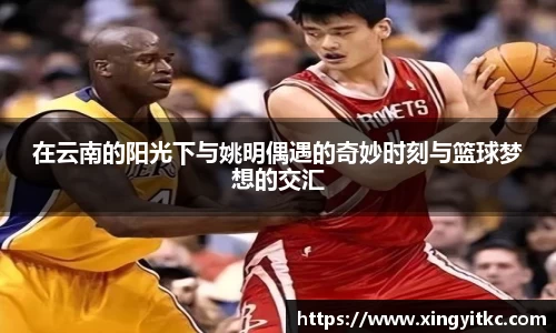 在云南的阳光下与姚明偶遇的奇妙时刻与篮球梦想的交汇