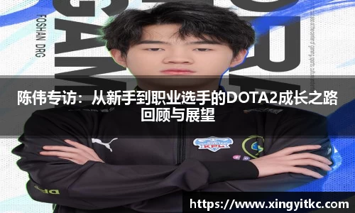 陈伟专访：从新手到职业选手的DOTA2成长之路回顾与展望