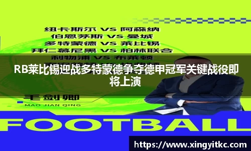 RB莱比锡迎战多特蒙德争夺德甲冠军关键战役即将上演