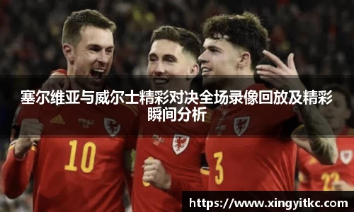 塞尔维亚与威尔士精彩对决全场录像回放及精彩瞬间分析