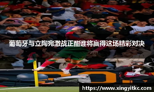 葡萄牙与立陶宛激战正酣谁将赢得这场精彩对决