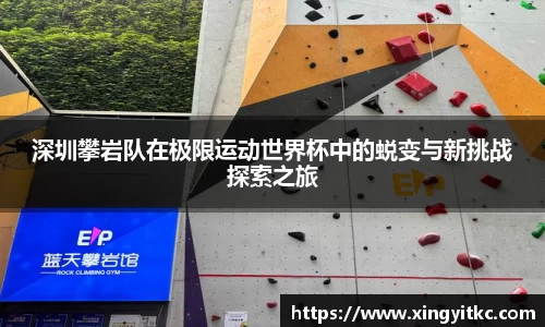 星空体育网站入口
