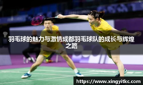 羽毛球的魅力与激情成都羽毛球队的成长与辉煌之路